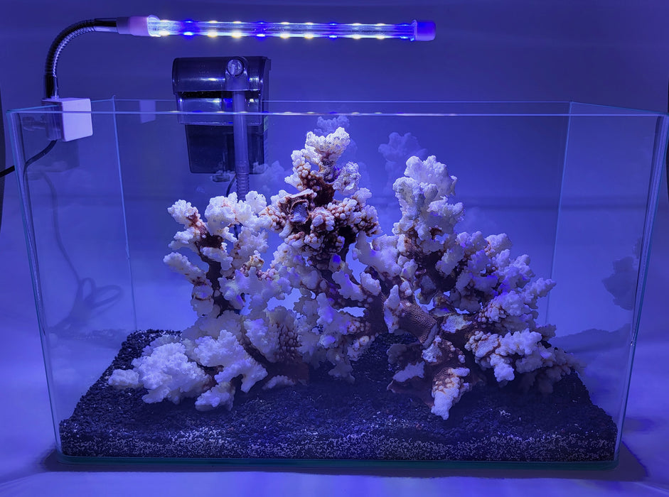 AP Curved Series Rimless Aquarium 4.55 gallon