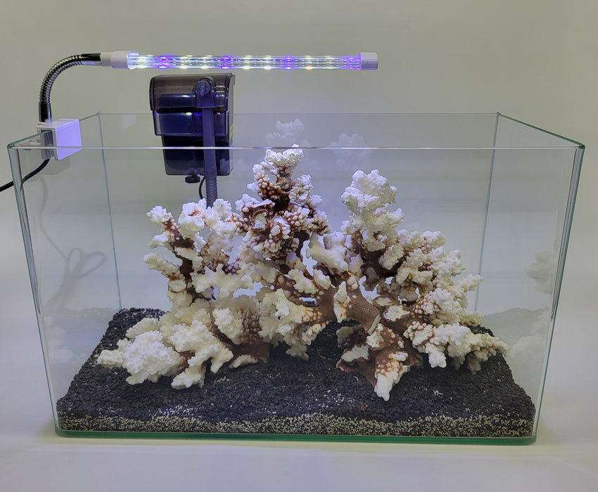 AP Curved Series Rimless Aquarium 2.37 gallon