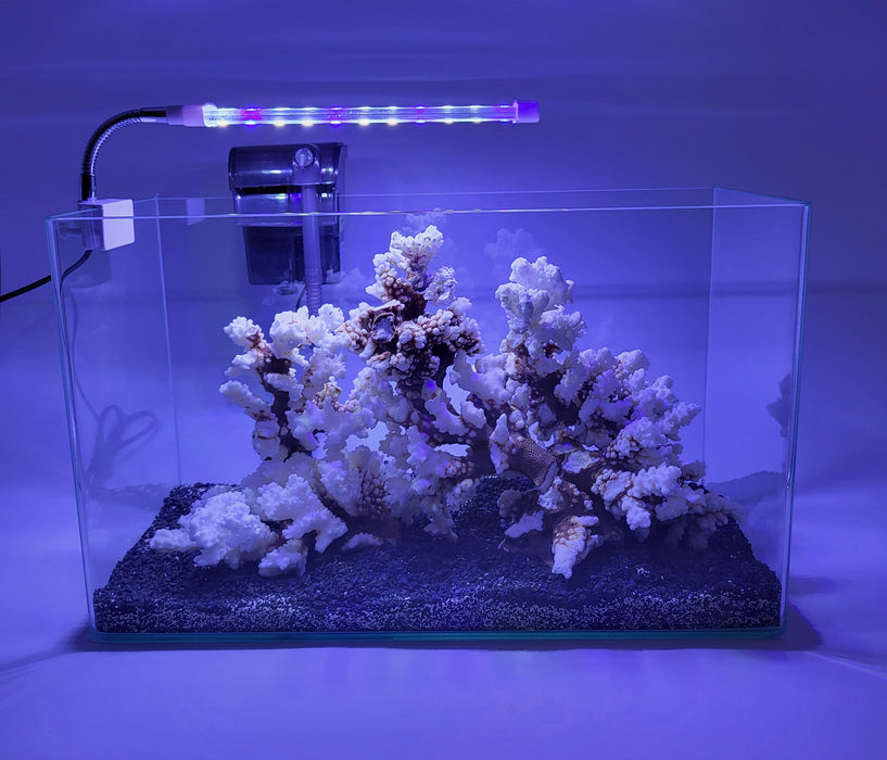 AP Curved Series Rimless Aquarium 0.95 gallon