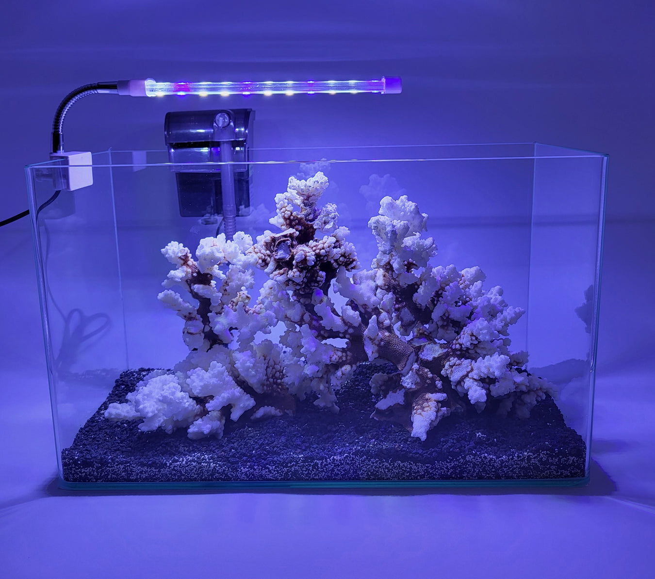 AP Cubed Series Rimless Aquariums
