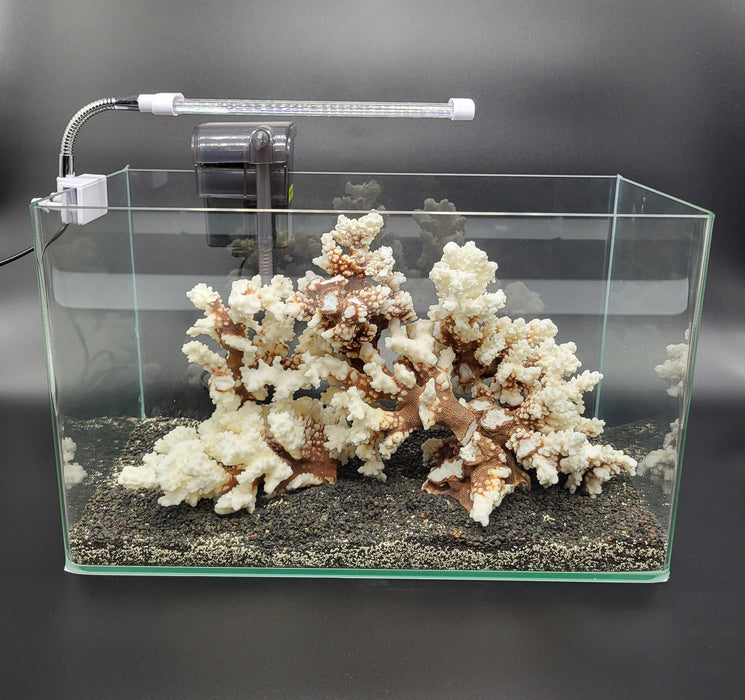 AP Standard Series Rimless Aquarium 15.18 gallon