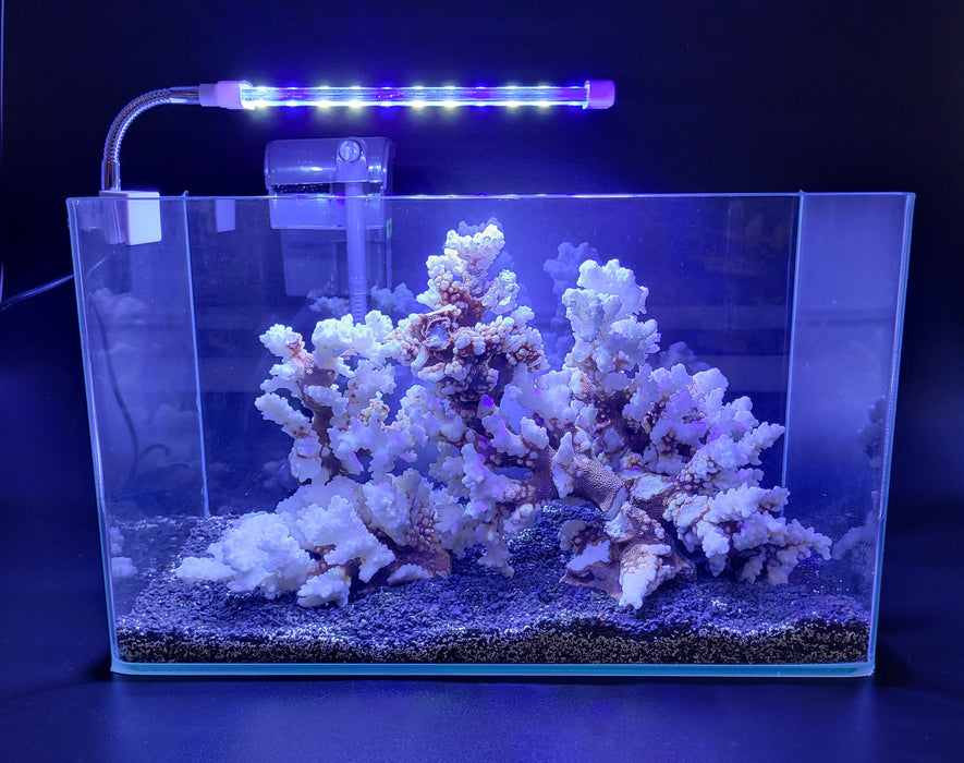 AP Curved Series Rimless Aquarium 3.57 gallon