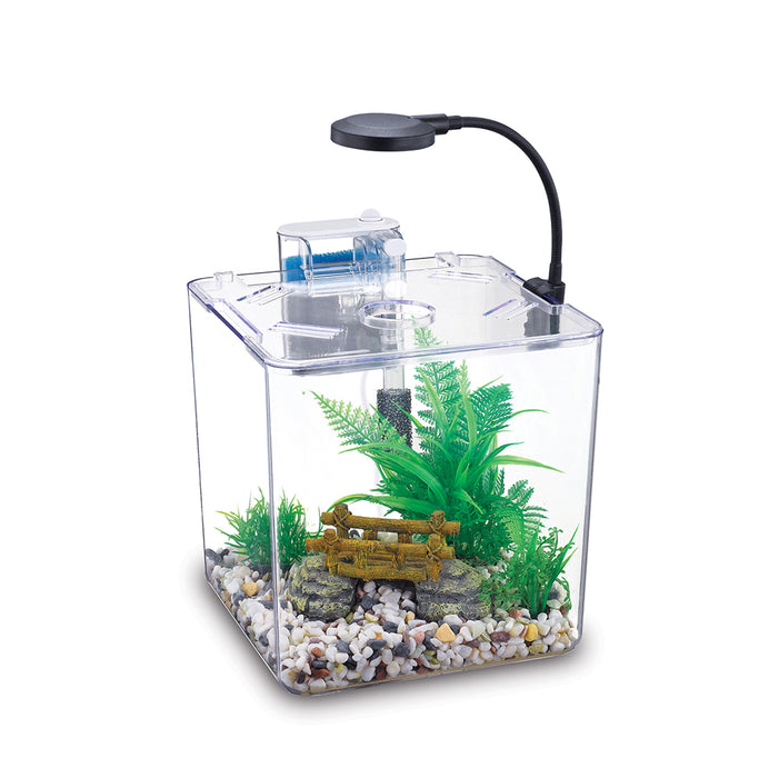 Nubios Desktop Betta Bowl-Square NB-132S