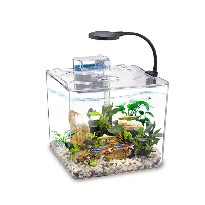 Nubios Desktop Betta Bowl-Square NB-395S