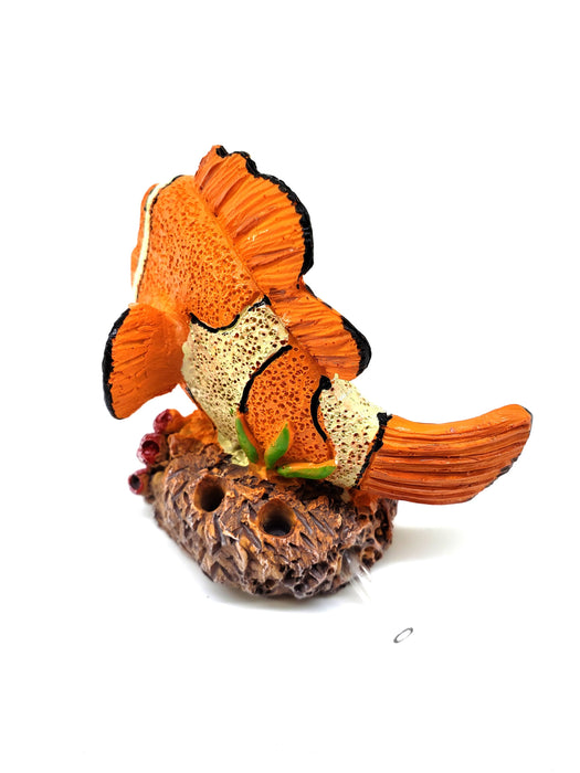 Nemo Bubbler