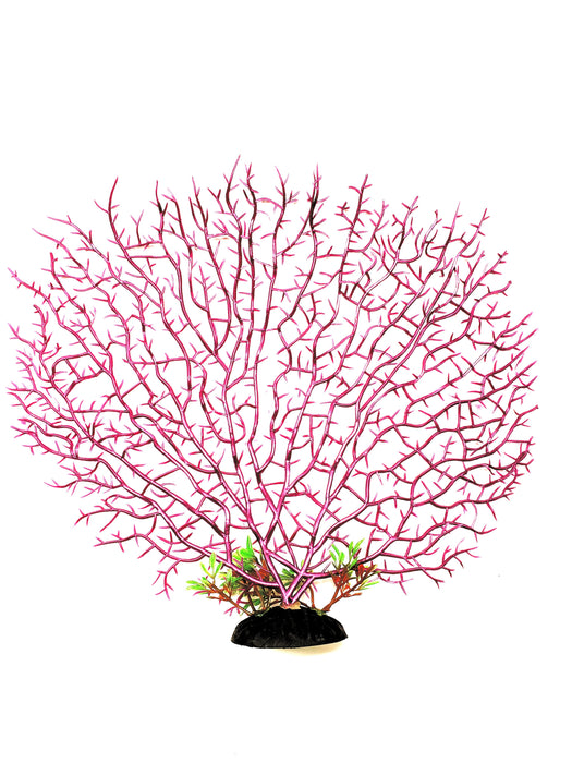 Large Sea Fan Decoration - 2pk