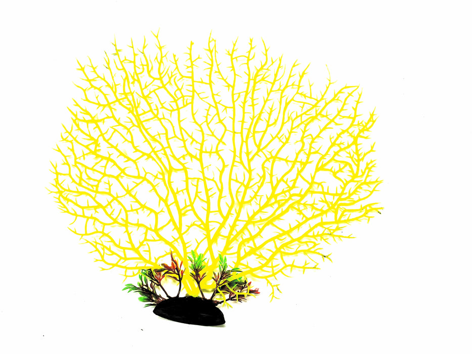 Large Sea Fan Decoration - 2pk