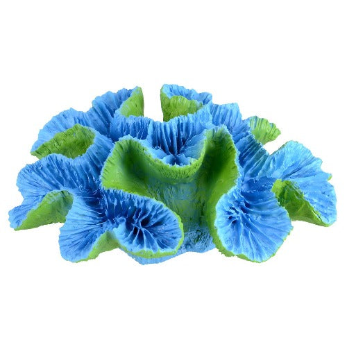 open brain coral ornament