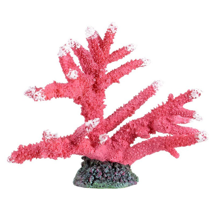 Underwater Treasures Branch Coral Fire