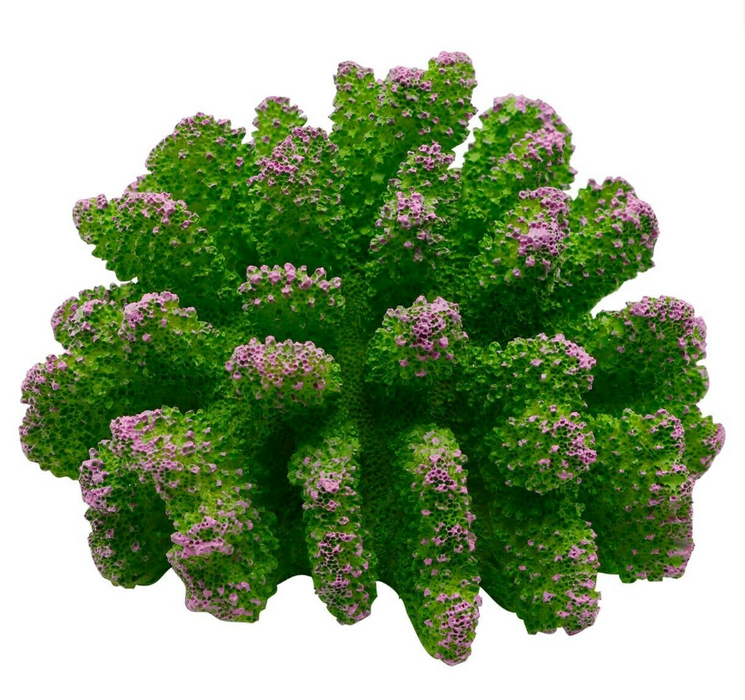 Underwater Treasures Polyped Coral - Green