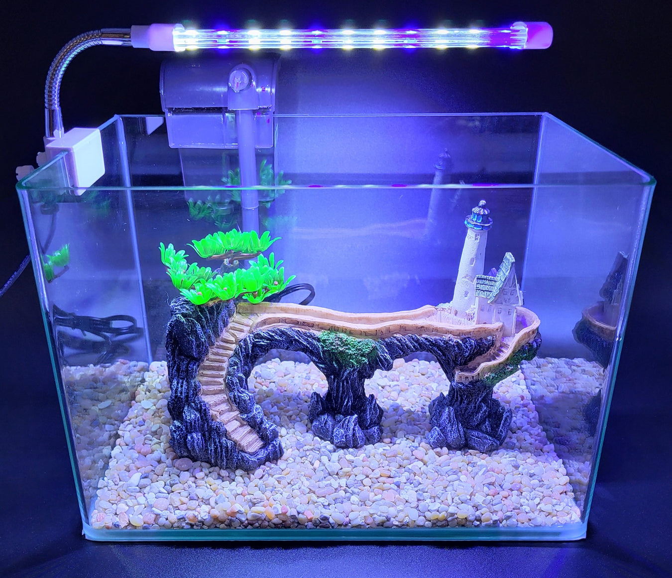 AP Curved Series Rimless Aquariums