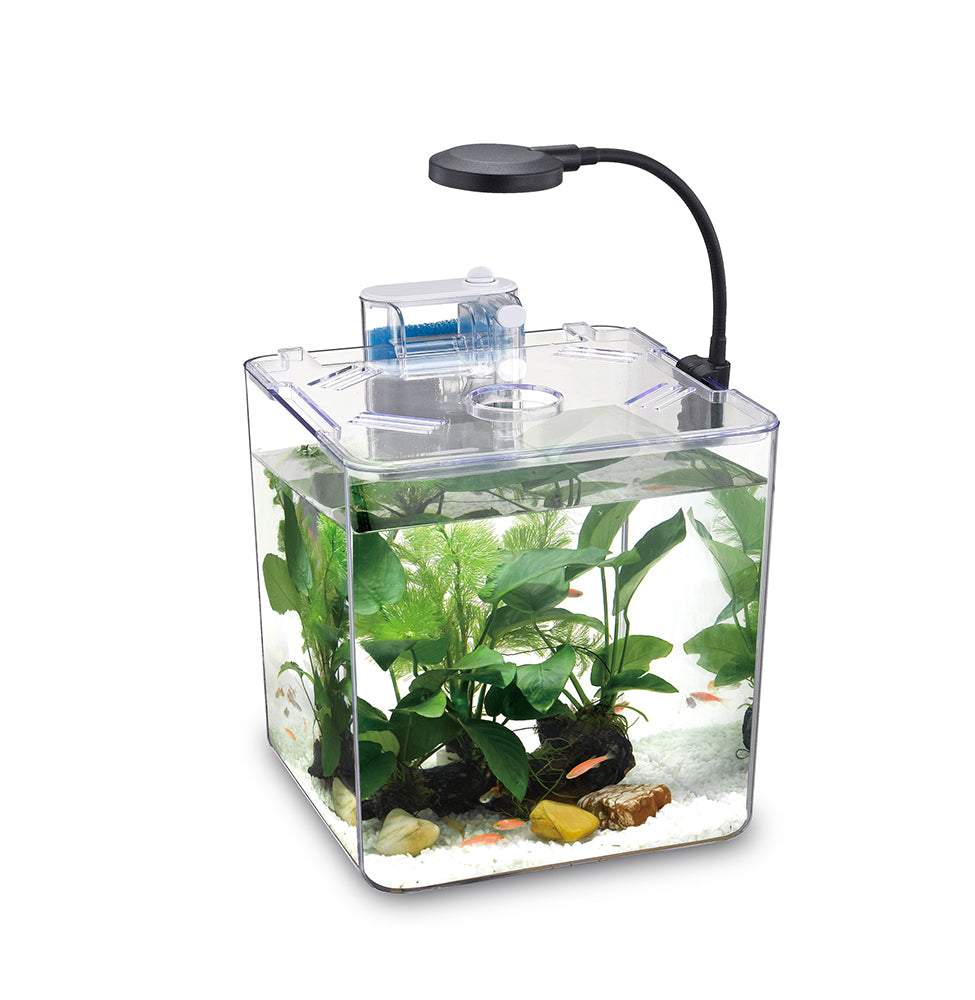 Nubios Desktop Betta Bowl-Square NB-395S — Aquariumproducts.ca