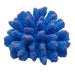 underwater treasures polyped coral blue