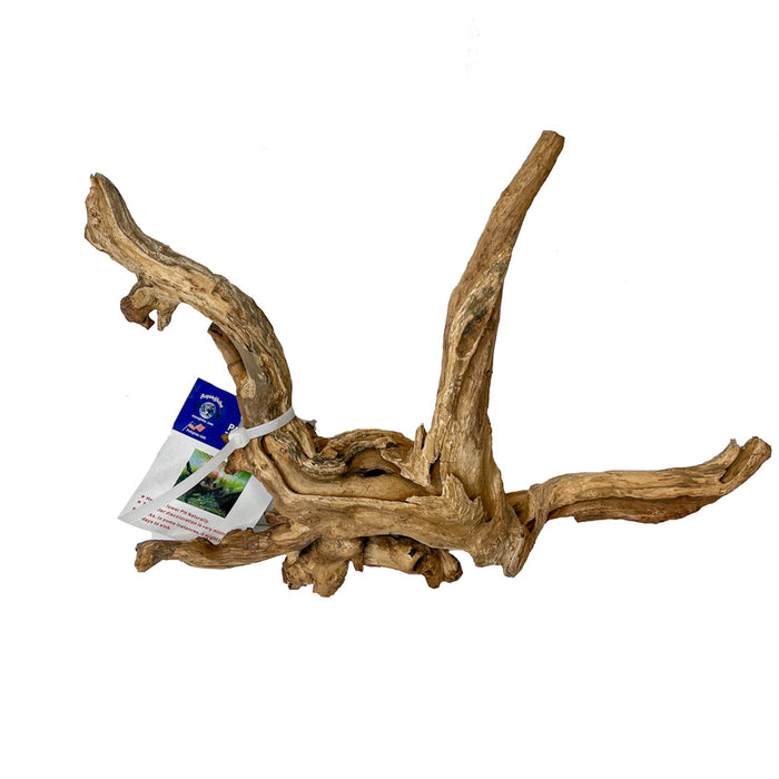 WYSIWYG Pacific Driftwood - Medium