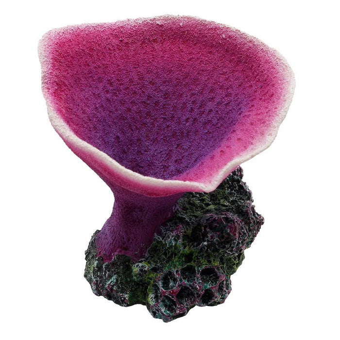 Elephant Ear Coral - Grape