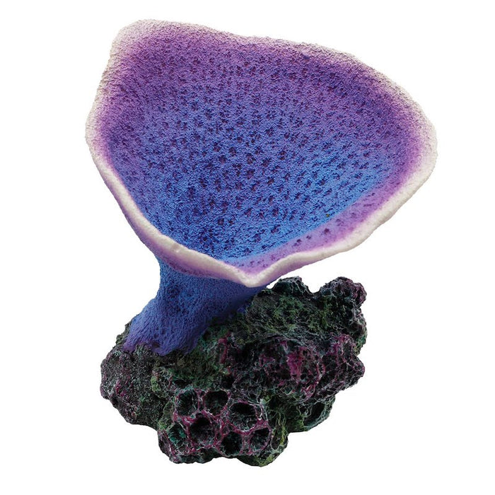 Elephant Ear Coral - Purple