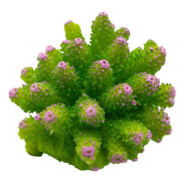 Underwater Treasures Cauliflower Coral Green