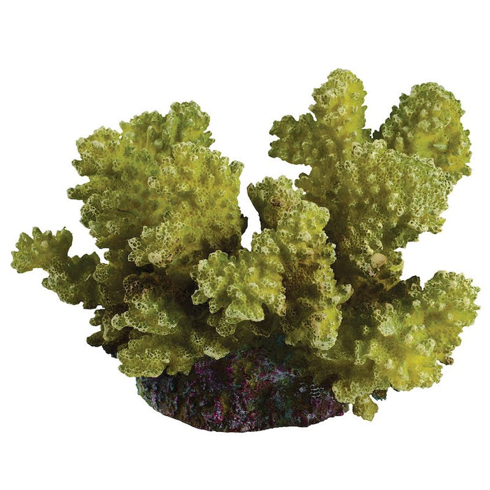 Underwater Treasures Elkhorn Coral - Green