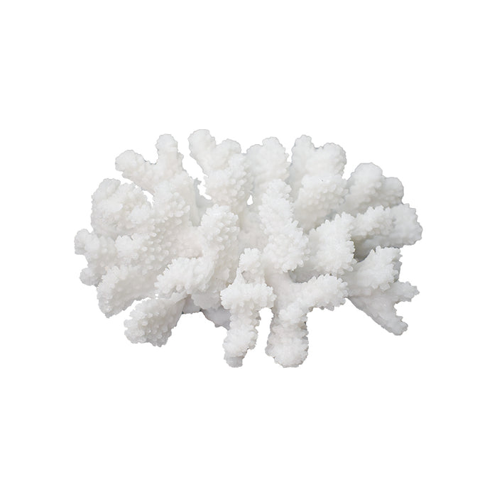 Acropora Coral Ornament