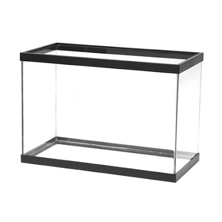 Aqueon 20 Gallon Black Frame Standard - Clear Silicone