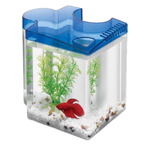 Aqueon Betta Puzzle Aquarium Kit Blue - 0.5 Gallon