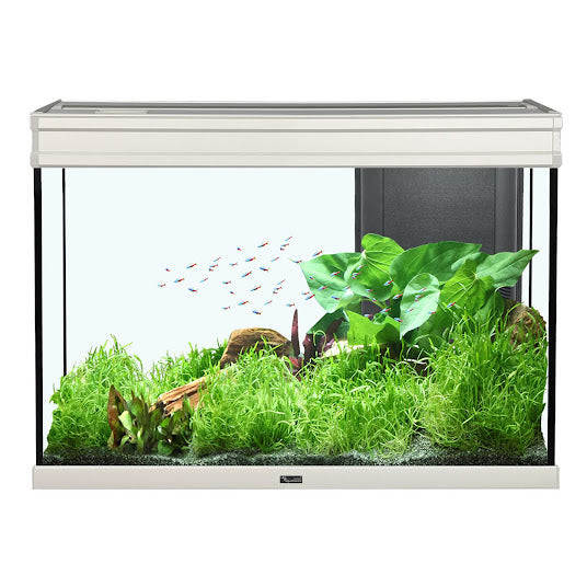 Elegance Expert 80 Aquarium Grey - 36.5