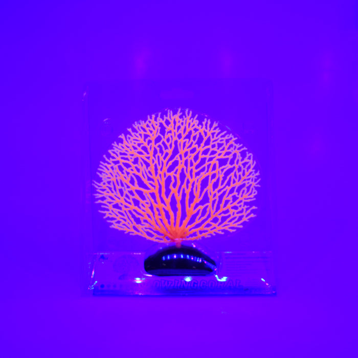 Mini Glowing Coral Fan