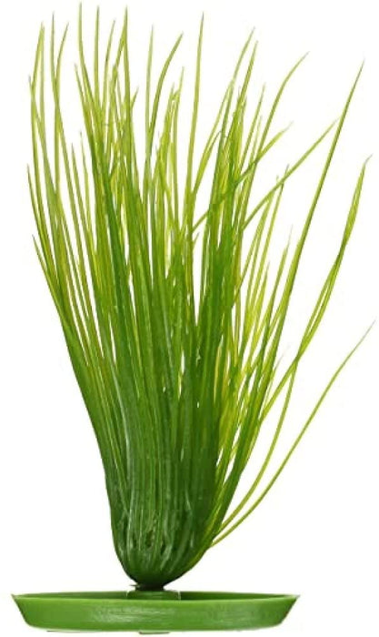 Marina Aquascaper Hairgrass - 8"