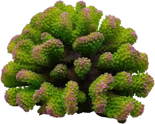 Underwater Treasures Toadstool Coral, Envy (Green and Pink)