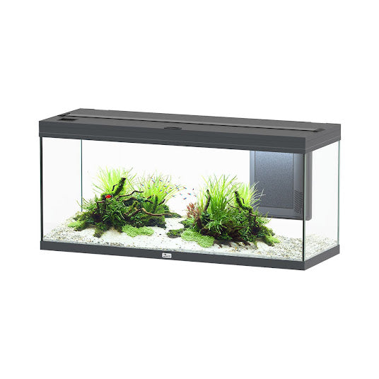 Volga 240 Aquarium Vesuve Grey - 63 Gallon