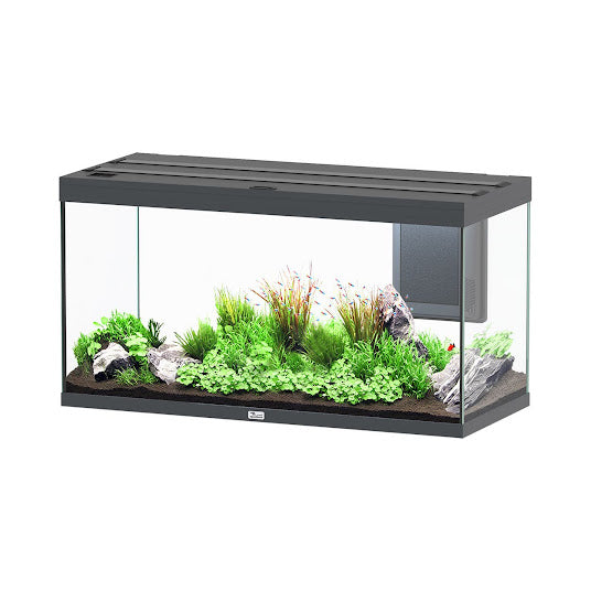 Volga 350 Aquarium Vesuve Grey - 92 Gallon